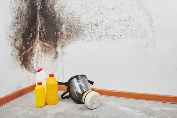 Sonora, CA Mold Removal Company