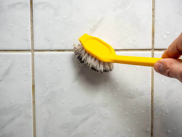 Best Professional Mold Removal  in Sonora, CA