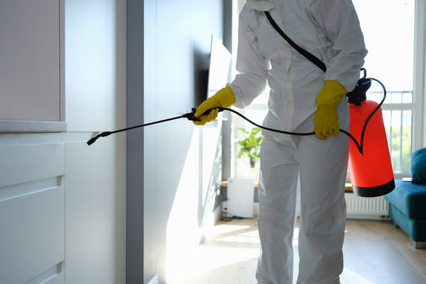 Best Mold Cleaning Services  in Sonora, CA