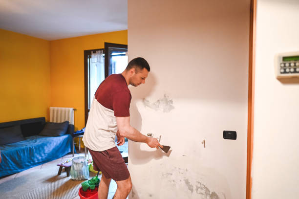 Best Local Mold Removal Service  in Sonora, CA